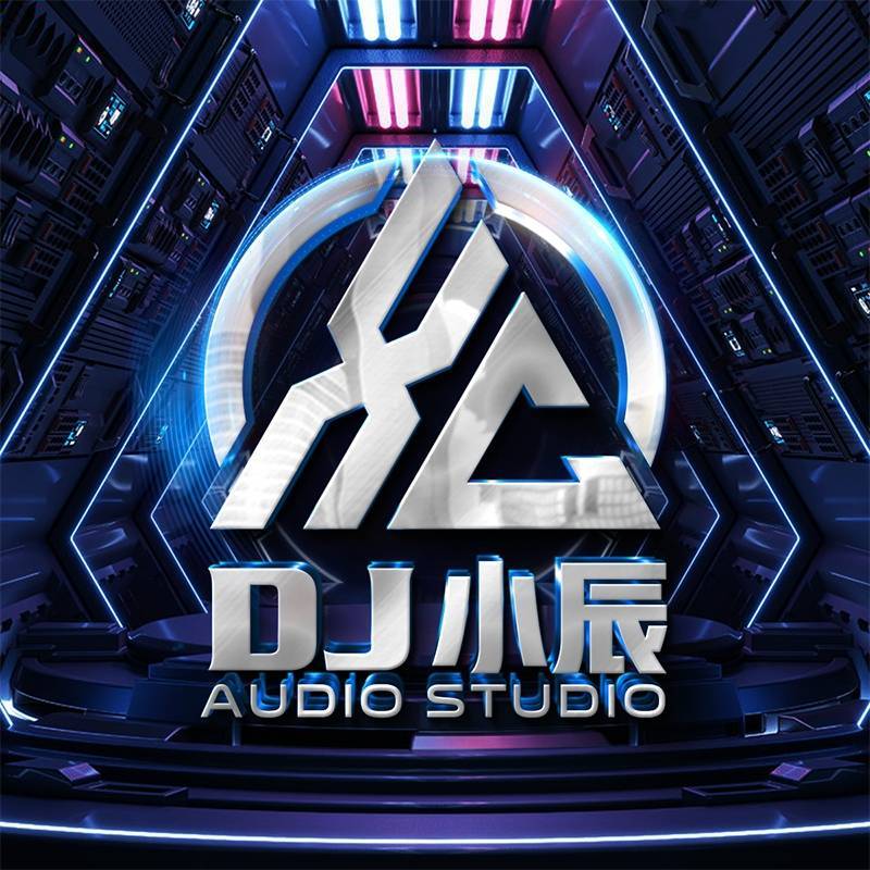 韶关Dj小辰-中文国粤语ProgHouse音乐太多你的样子串烧.mp3