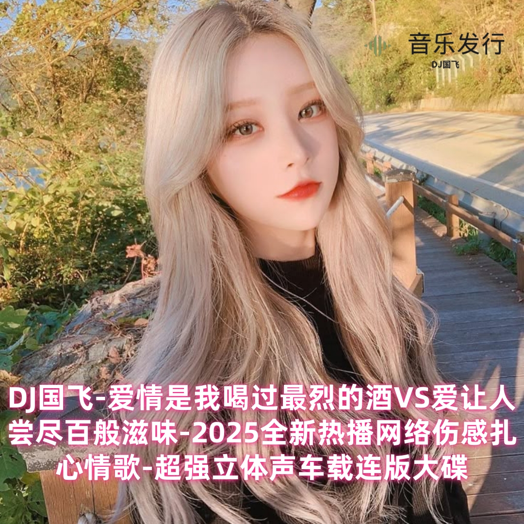 DJ国飞-2025全新热播网络伤感扎心情歌-超强立体声车载连版大碟.MP3