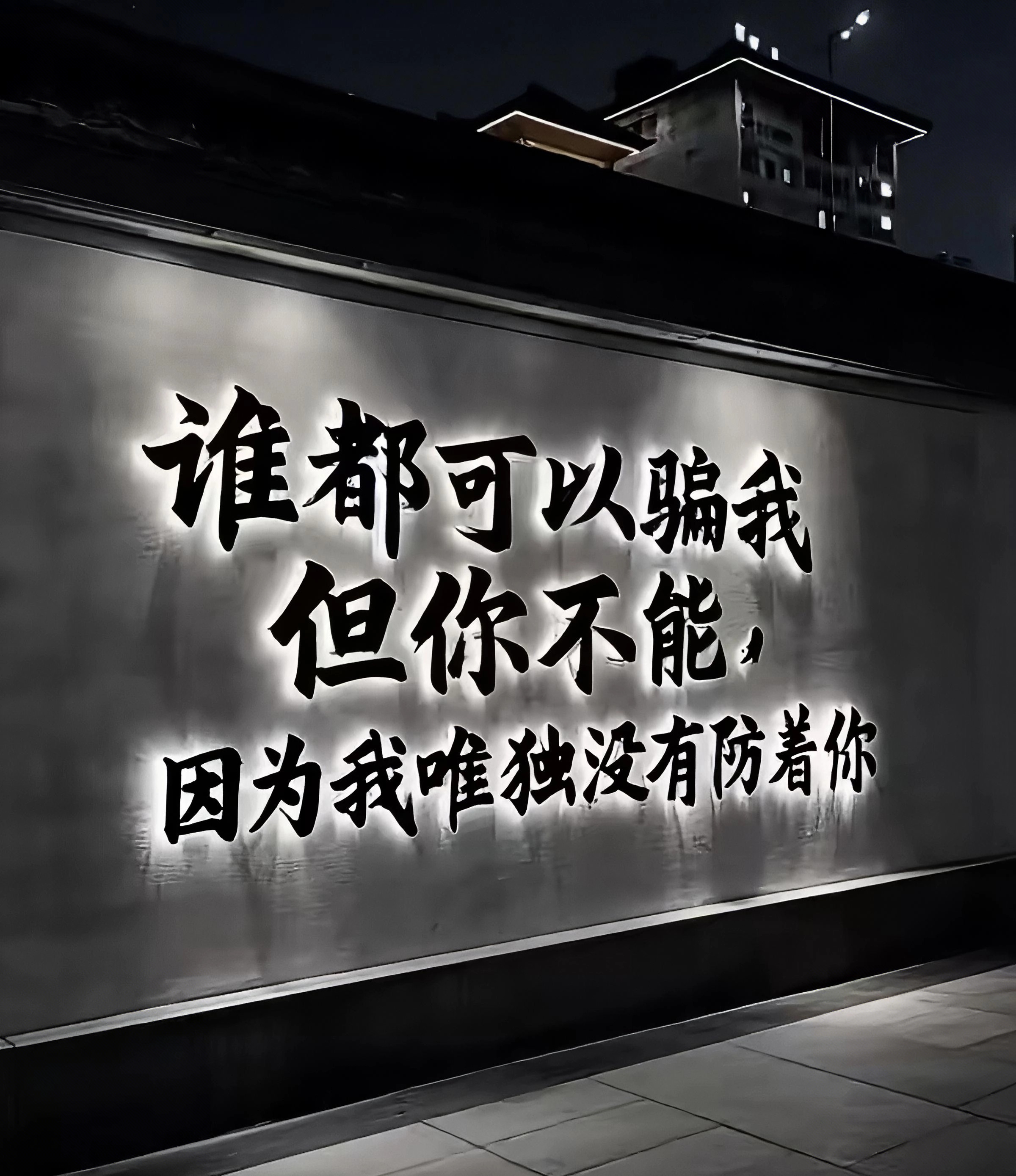 【111DJ独家】DJ安妮Jay-中文 Prog House专辑2025串烧.mp3