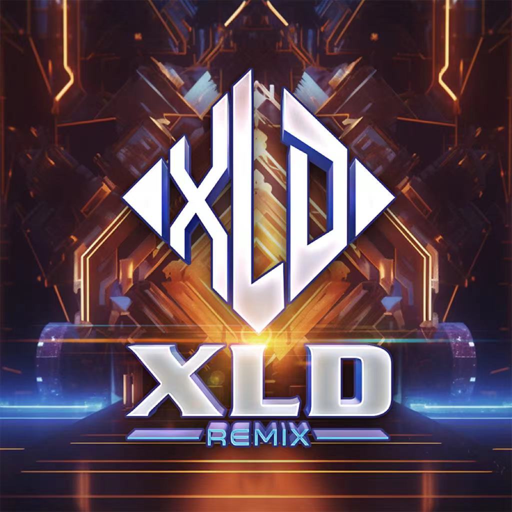 【111DJ独家】海来阿木 - 西楼儿女（XLD 2025 Remix）.mp3