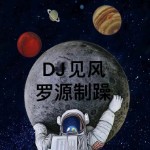 杨宗纬 - 千金散尽(Dj见风 ProgHuse Rmx 2025).mp3