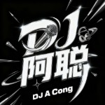 Dj阿聪